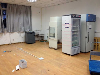 image on actin.cn