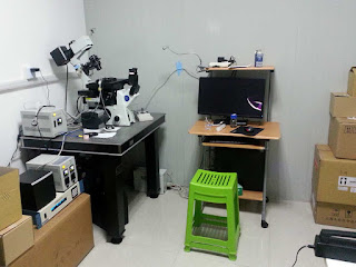 image on actin.cn